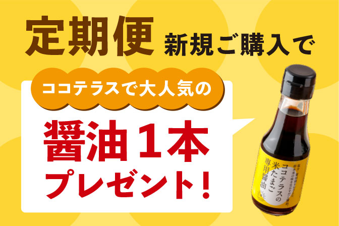 定期便新規ご購入でココテラスで大人気の醤油1本プレゼント