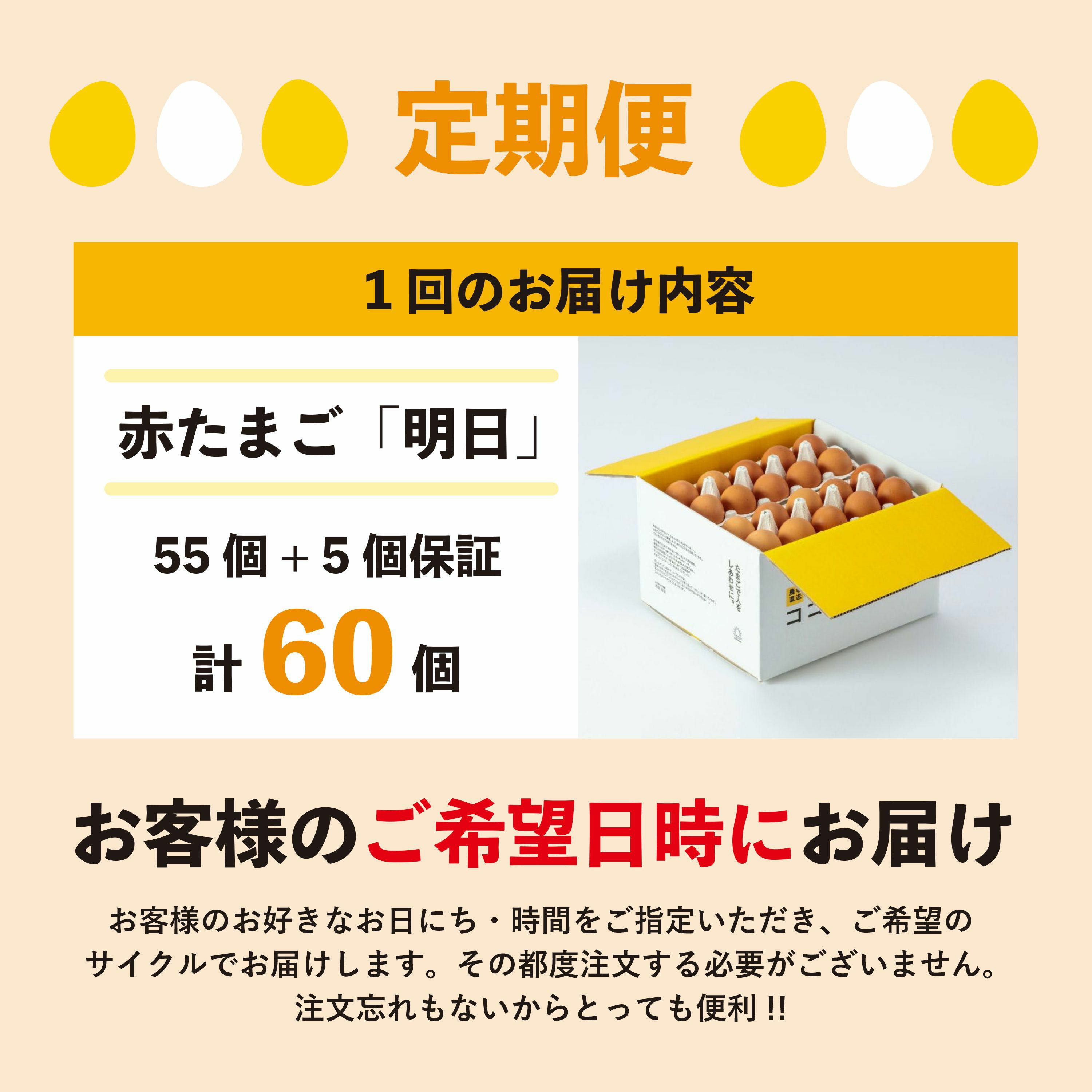 定期便】明日（赤たまご）55個 + 5個保証（計60個） | ココテラスの