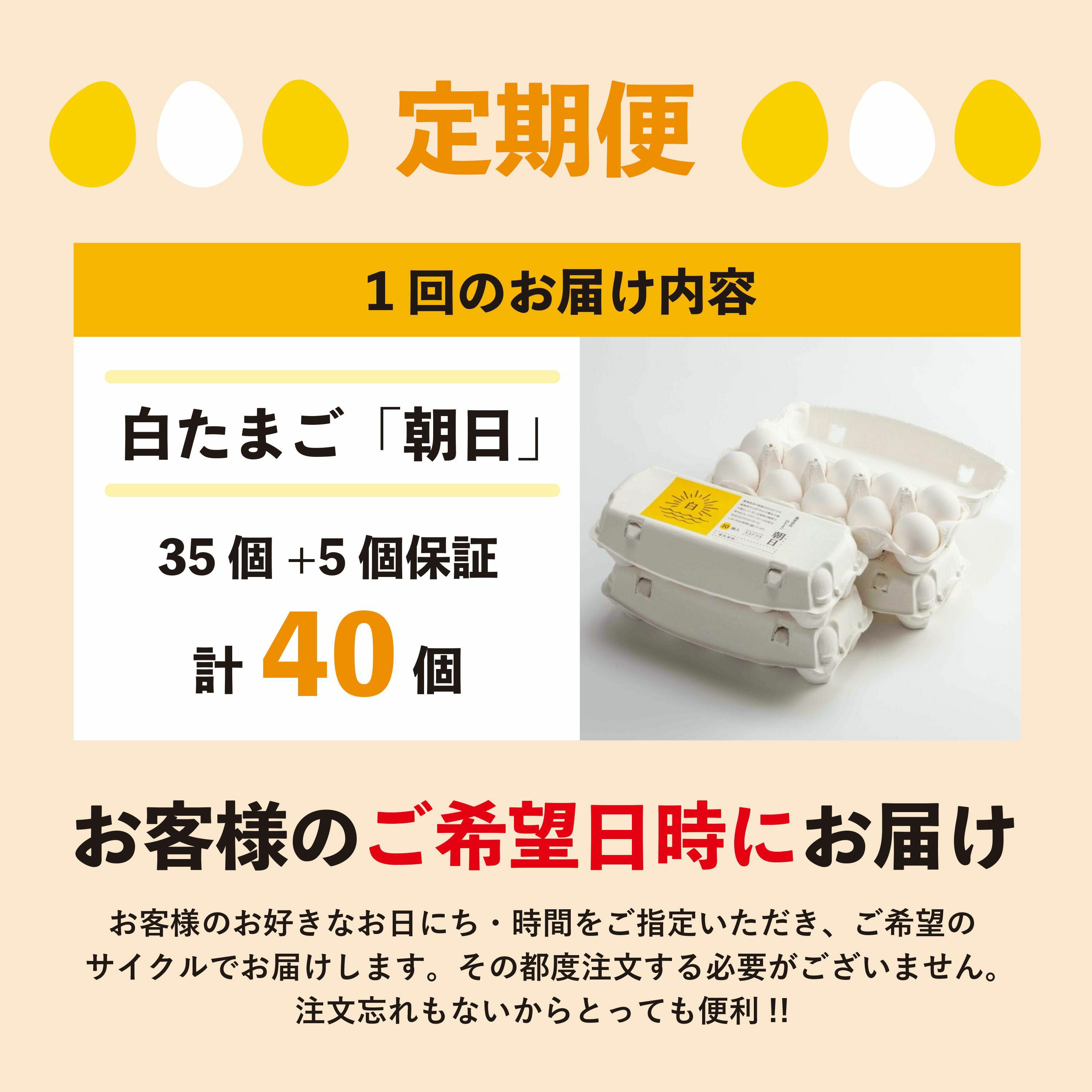 定期便】朝日（白たまご）35個 + 5個保証（計40個） | ココテラスの