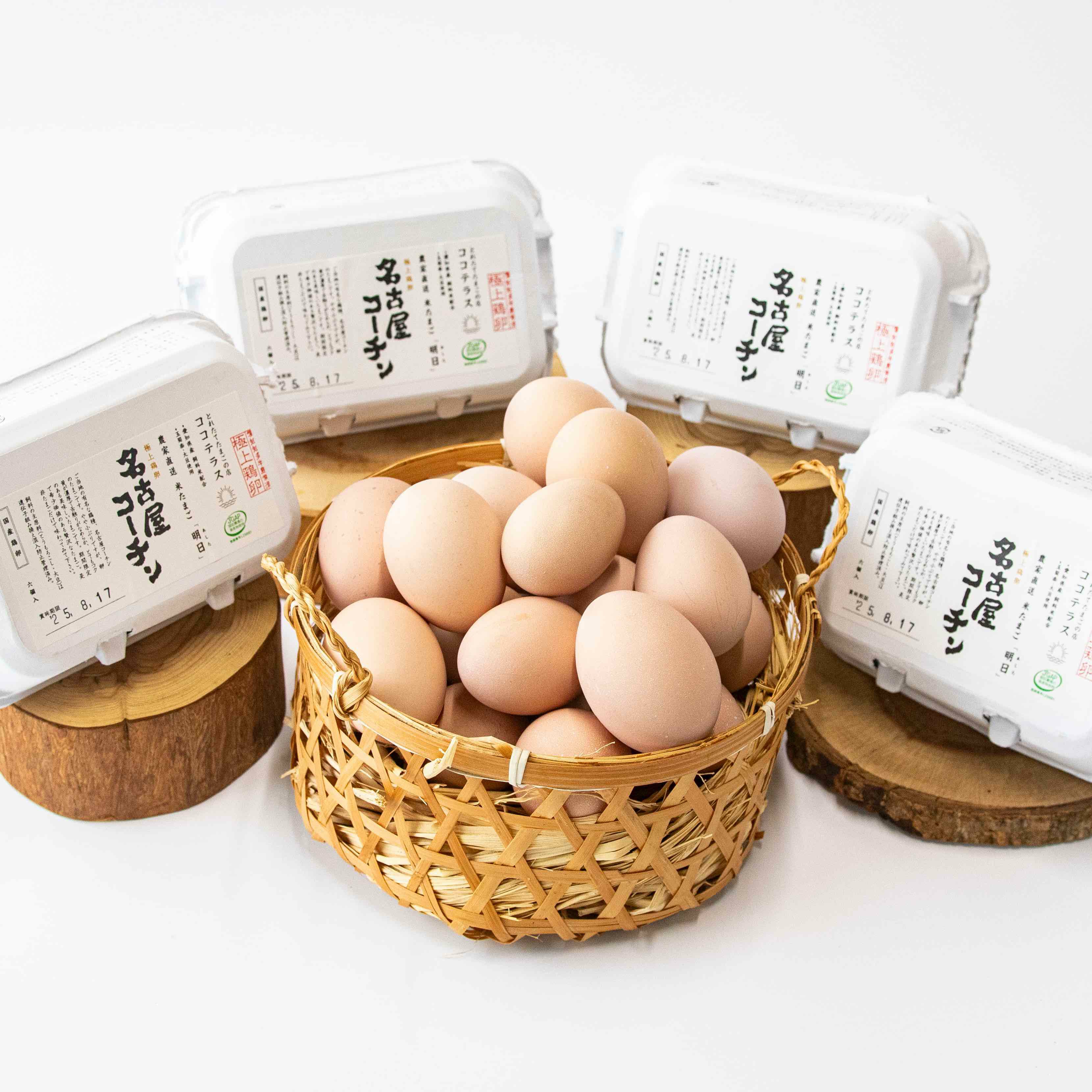 名古屋コーチン 4パック（計24個） | ココテラスのオンラインショップ