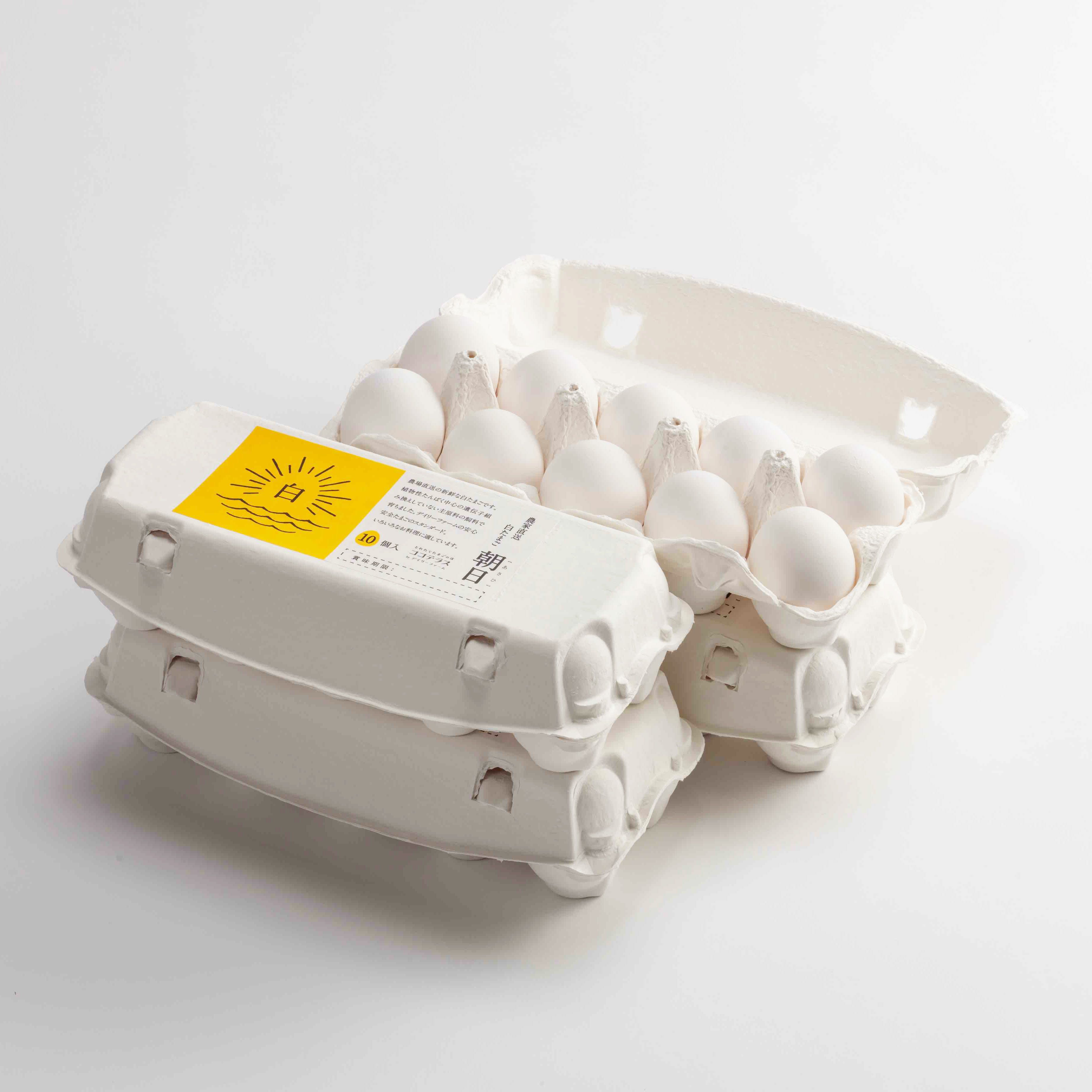 朝日（白たまご）45個+5個保証（計50個） | ココテラスのオンライン
